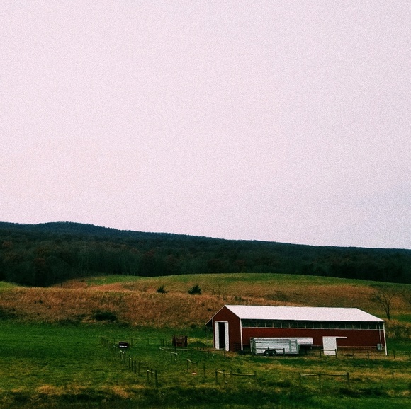 Meet your Posher, Alexis - Picture 1 of 1